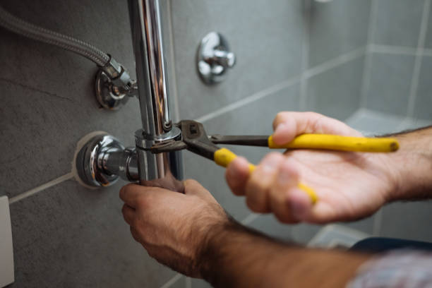 Best Local Plumber Services  in Zelienople, PA
